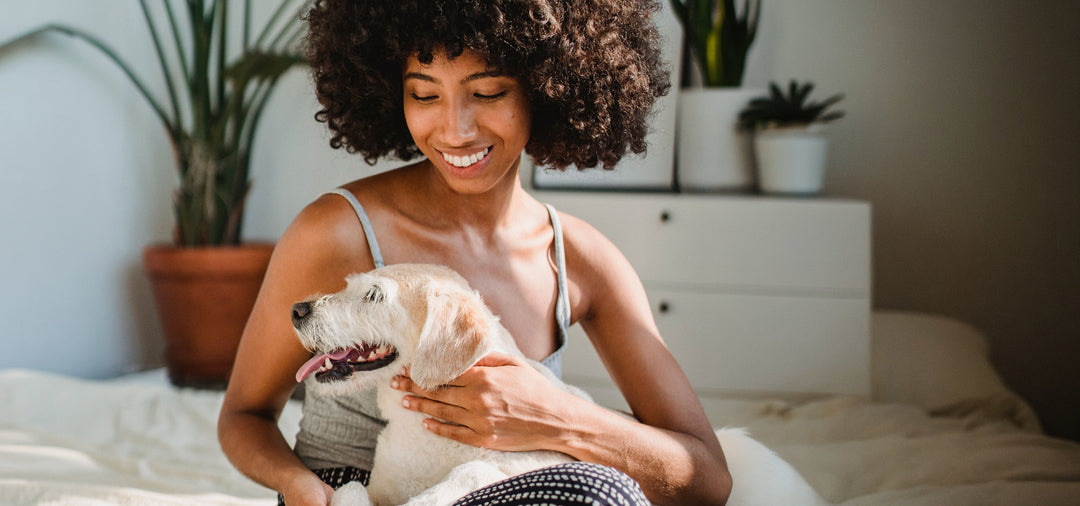 Why More Pet-Facing Businesses Are Turning to Calming Scent Technology