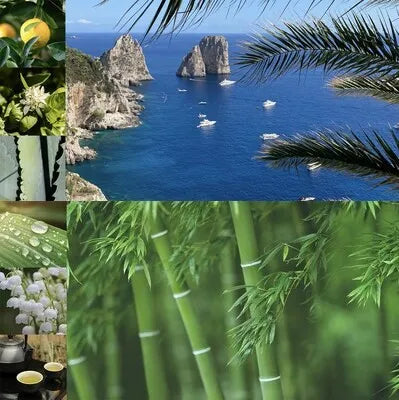 SCENTAIR® RELEASES TWO NEW ESCAPE-WORTHY FRAGRANCES JUST IN TIME FOR SPRING BREAK