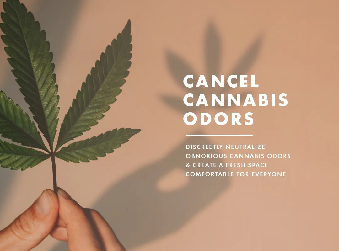 ScentAir® Releases New Cannabis Odor Neutralizer