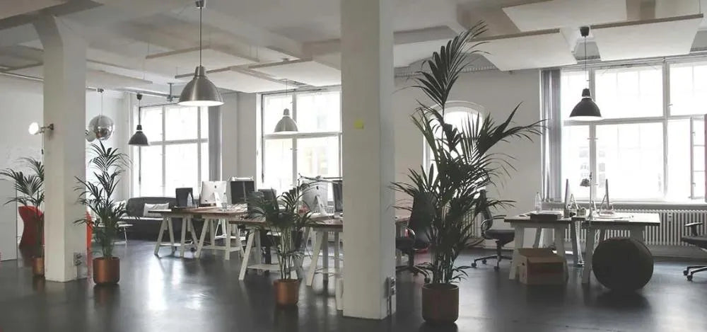 What is the best scent for an office?