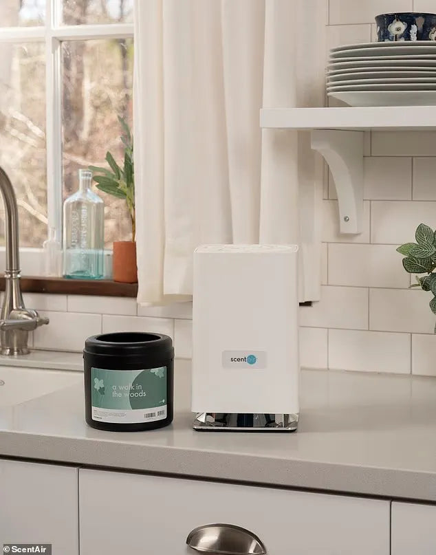 This smart diffuser is making homes smell like a 'five-star hotel' - we found out if it's worth the hype