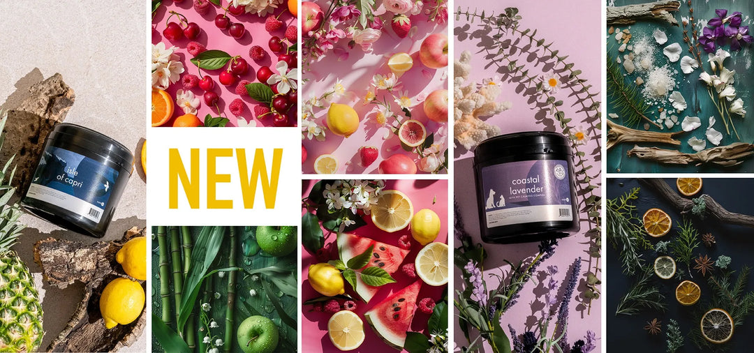 Experience the Hottest New Scents of 2024 for Home and On-the-Go