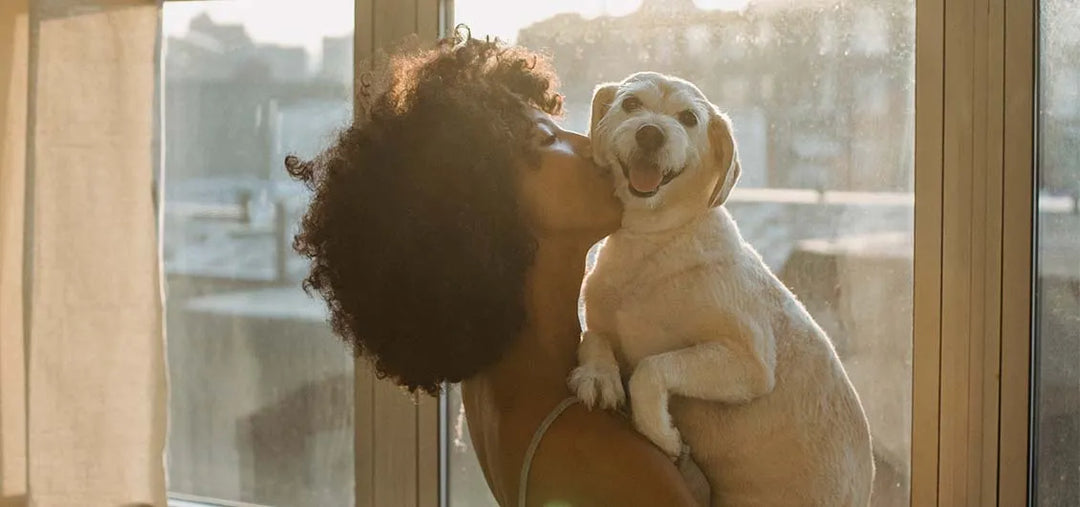 ScentAir® Releases New Pet Calming Fragrance