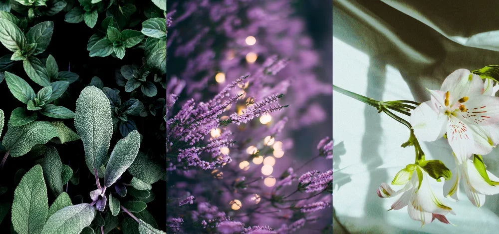 The Art of the Scent Pyramid: How We Build Complex, Memorable Fragrances