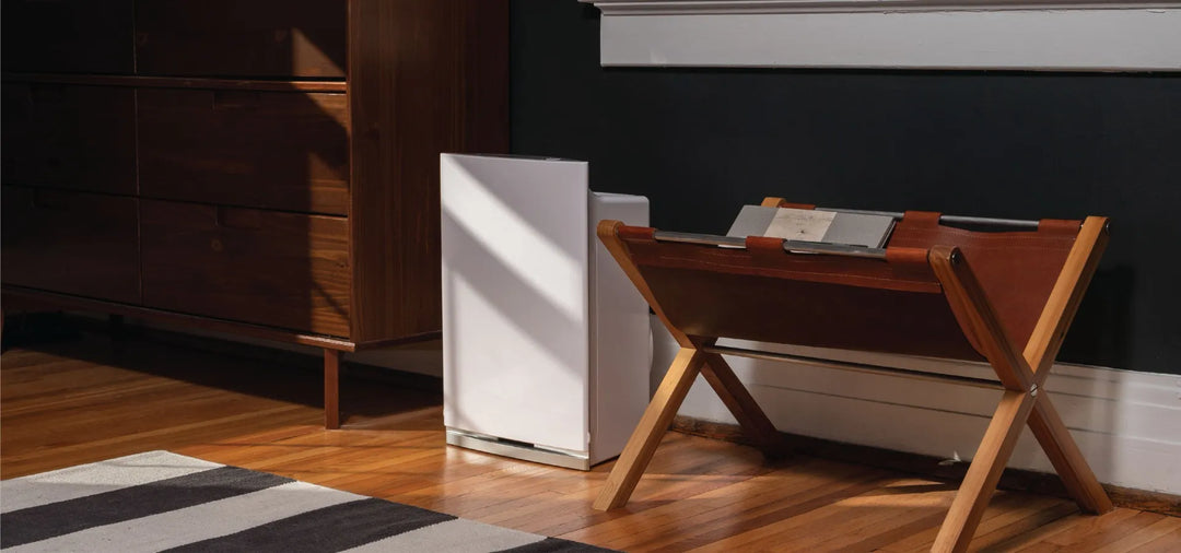 Our Journey to Breathing Easier & Happier: The Unexpected Ease of Owning a ScentAir DFS Compact Air Purifier