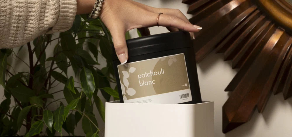 The Secret Behind Whisper HOME & PRO: Dry Evaporative Media for Even, Lasting Fragrance