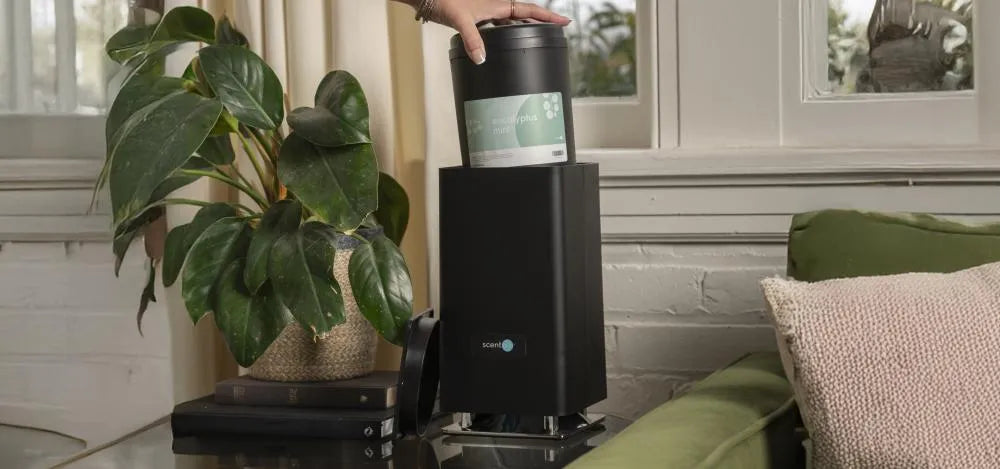 Is It Time to Upgrade? How to Know If You Need a Whisper PRO Diffuser