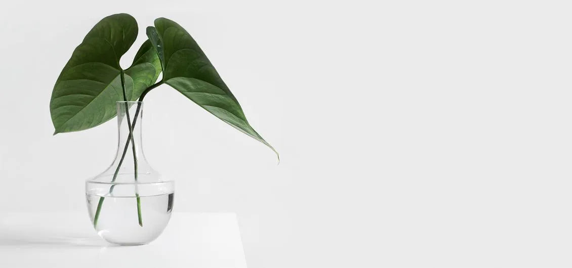 Odor Neutralizing Technology: How ScentAir Eliminates Business Odors