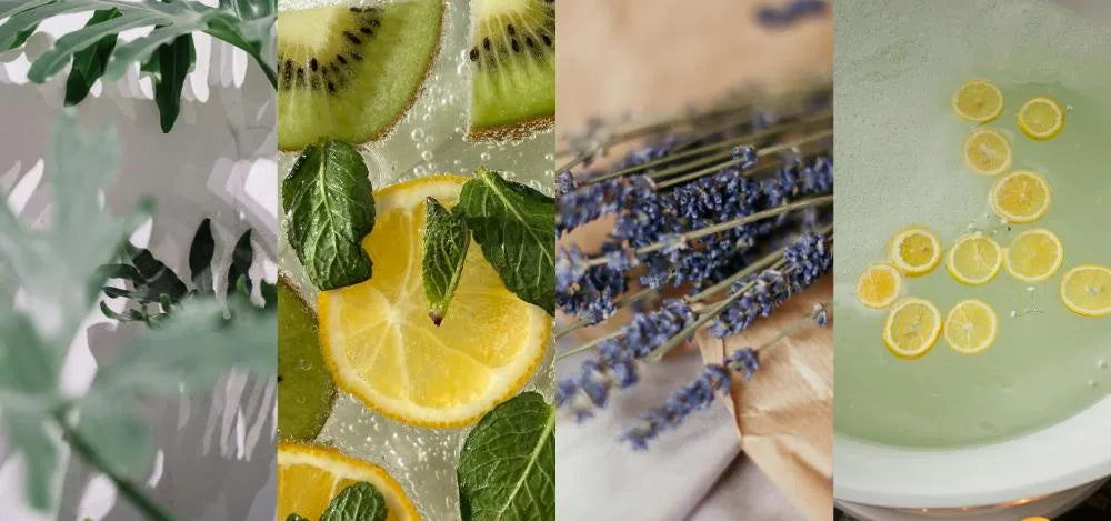 Sustainable Fragrances: ScentAir’s Eco Line for Businesses