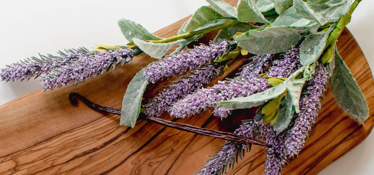 Natural, Sustainable and Environmentally Responsible: A Deep Dive Into Scents Eco Allure and Eco Serenity