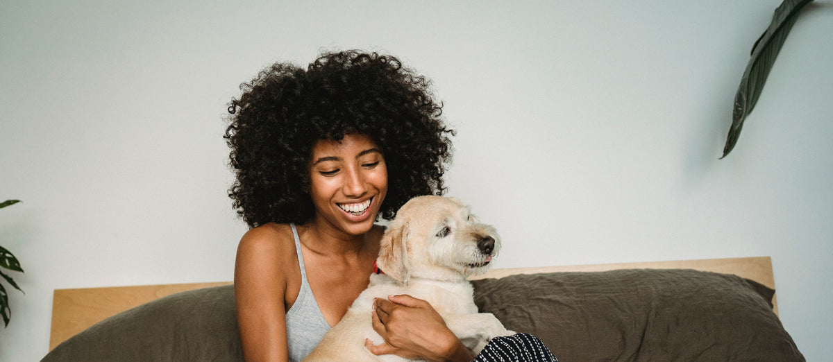 ScentAir® Releases Two New Pet-Calming Fragrances: Coastal Lavender and Aloe Oasis