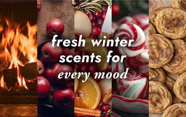 fresh winter scents for every mood
