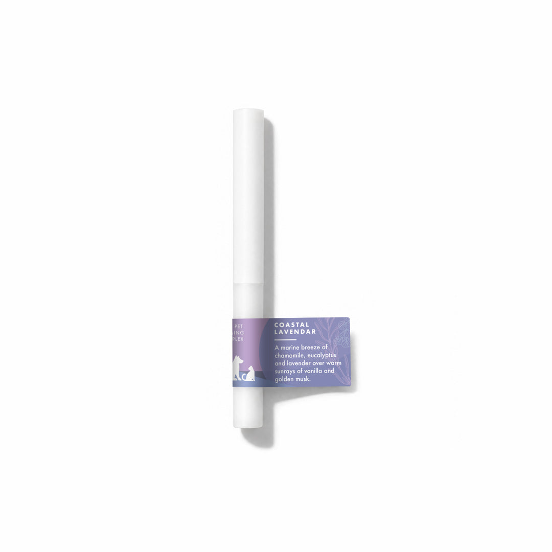 Coastal Lavender Fragrance Sample Stick - A marine breeze of chamomile, eucalyptus and lavender over warm sunrays of vanilla and golden musk.