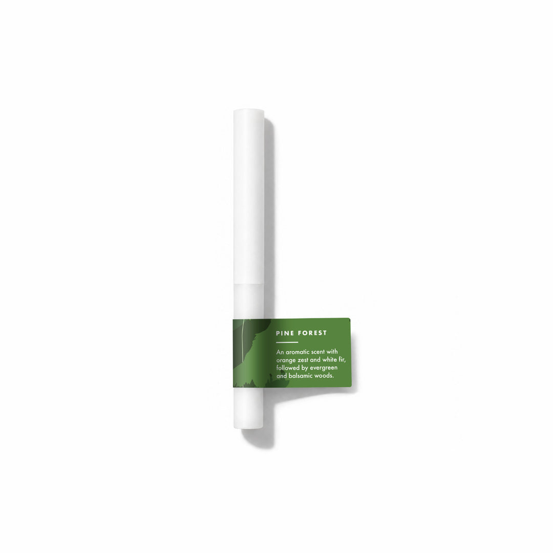 Pine Forest Fragrance Sample Stick - An aromatic scent with orange zest and white fir, followed by evergreen and balsamic woods.
