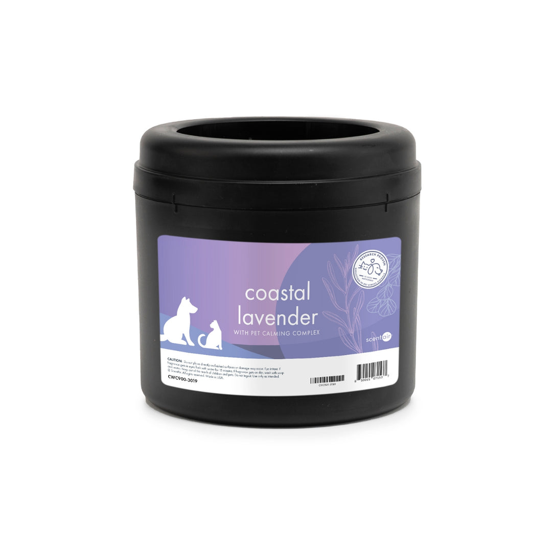 Coastal Lavender