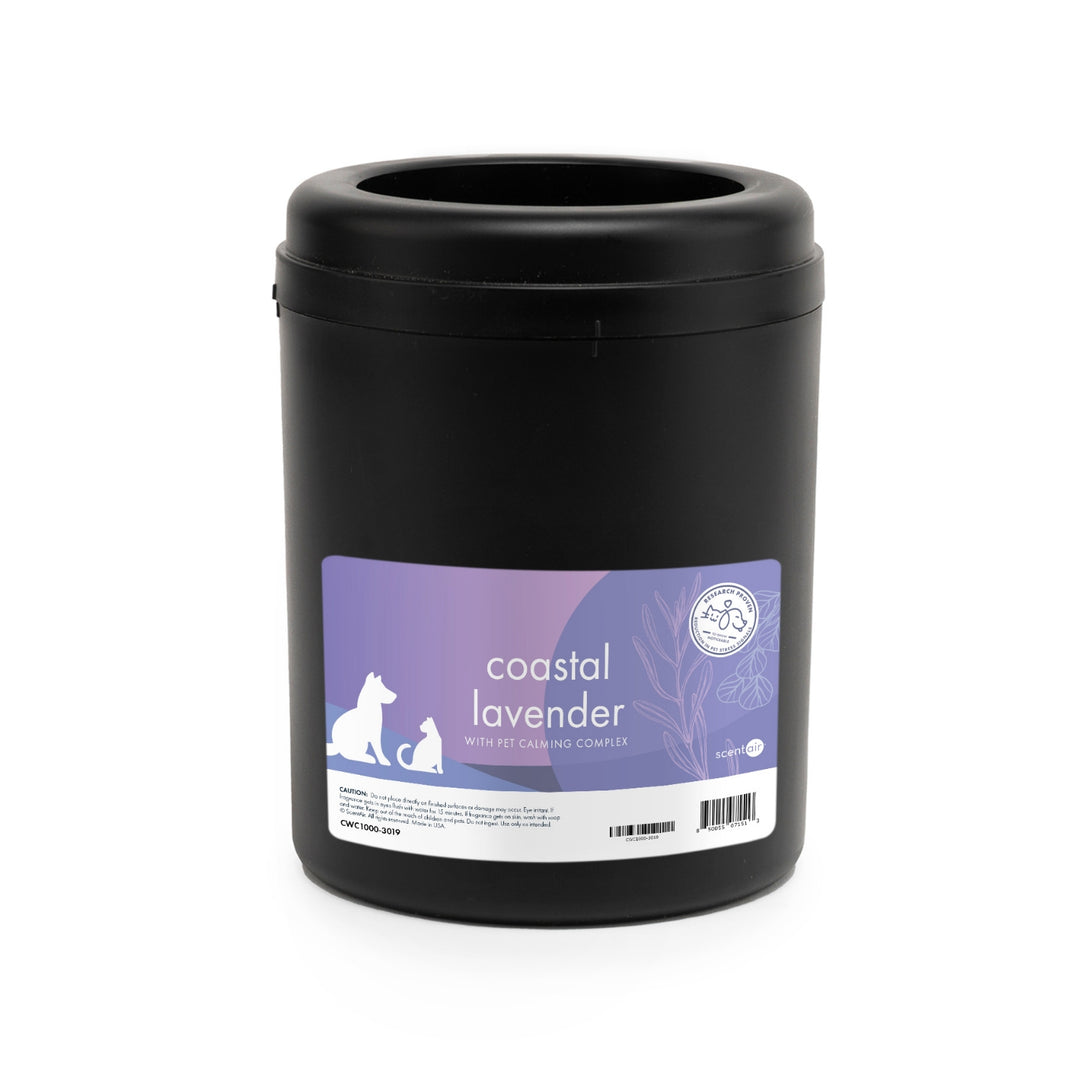 Coastal Lavender