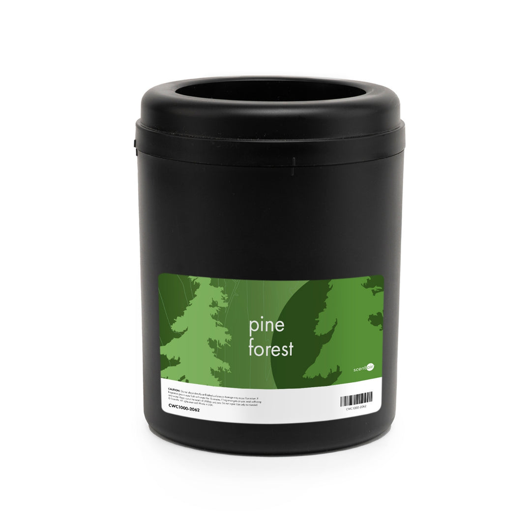 Pine Forest